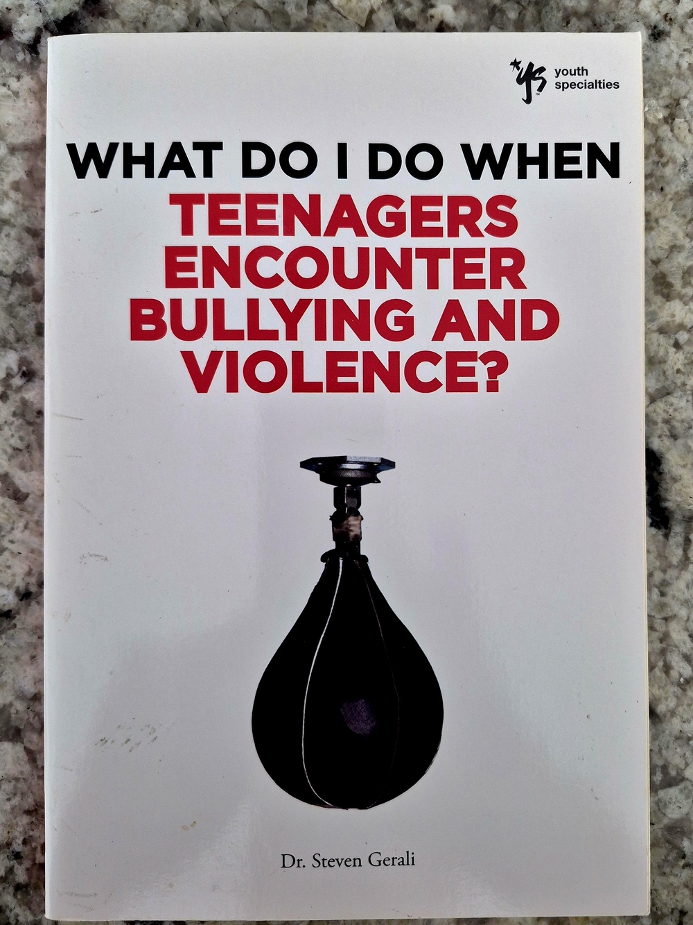 What Do I Do When Teenagers Encounter Bullying and Violence? by Dr Steven Gerall